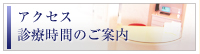 アクセス・診療時間のご案内